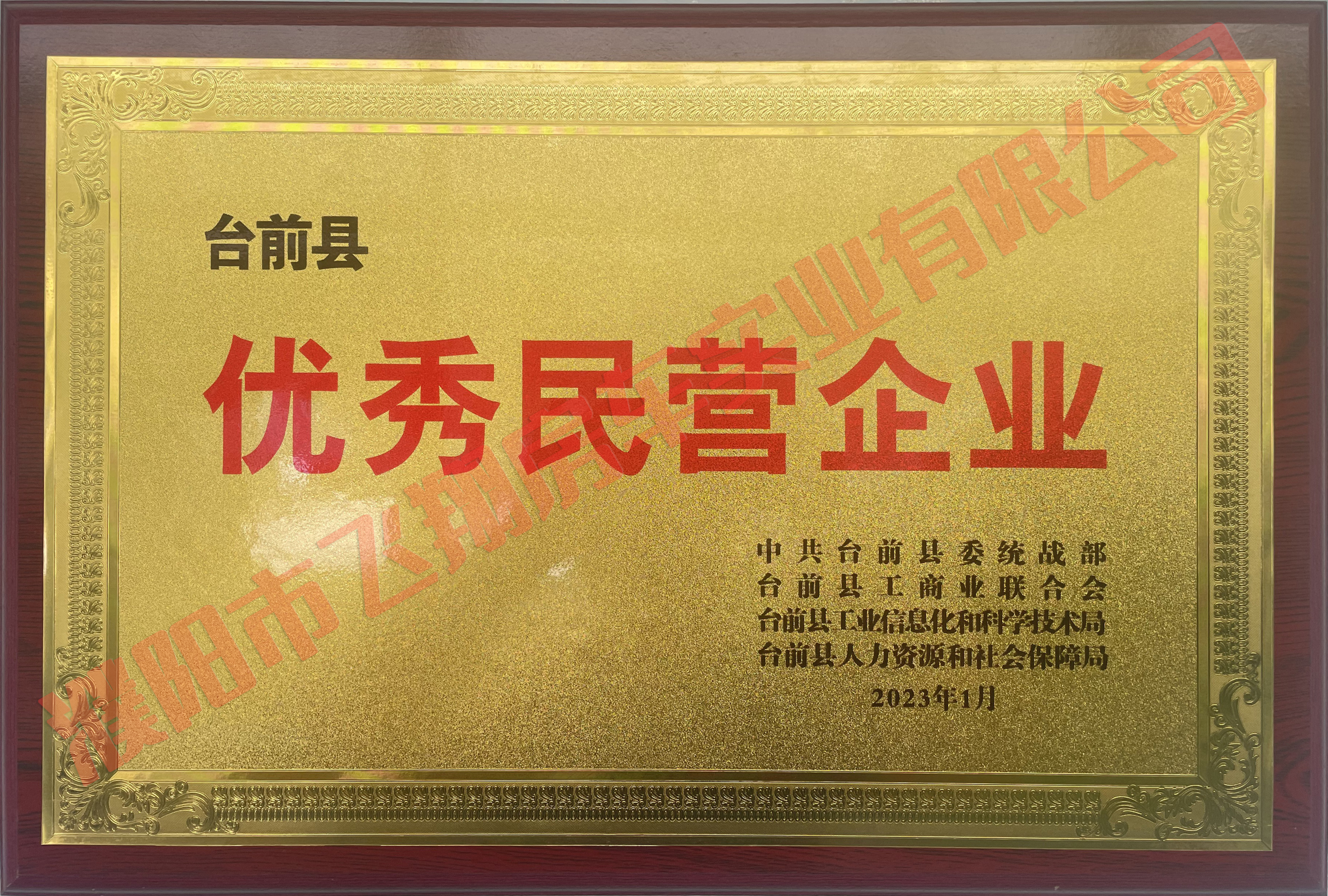 優(yōu)秀民營(yíng)企業(yè)